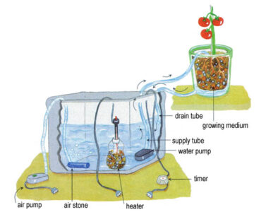 Total Control Gardening with Home Hydroponics Image